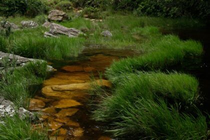 📊 Gestão e Legislação Rural